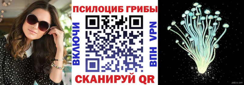 Псилоцибиновые грибы Psilocybine cubensis  Купить где  Новосибирск 